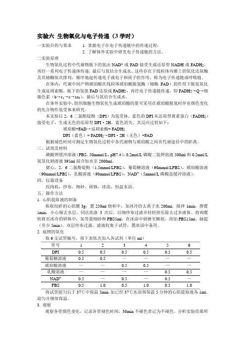 实验六 生物氧化与电子传递