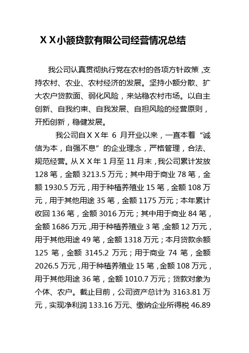 小额贷款有限公司经营情况总结