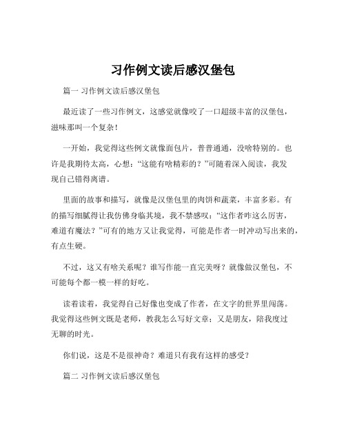 习作例文读后感汉堡包