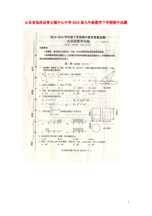 山东省临沭县青云镇中心中学九年级数学下学期期中试题(扫描版) 新人教版 (2)