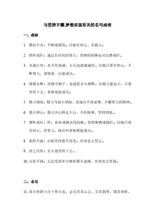 与坚持不懈,梦想实现有关的名句成语