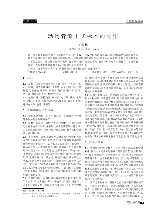 动物骨骼干式标本的制作(1)