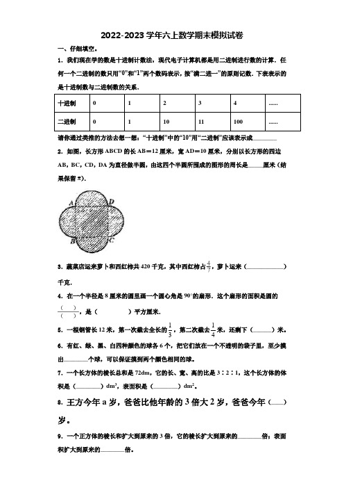 2023届屏山县六年级数学第一学期期末学业水平测试试题含解析