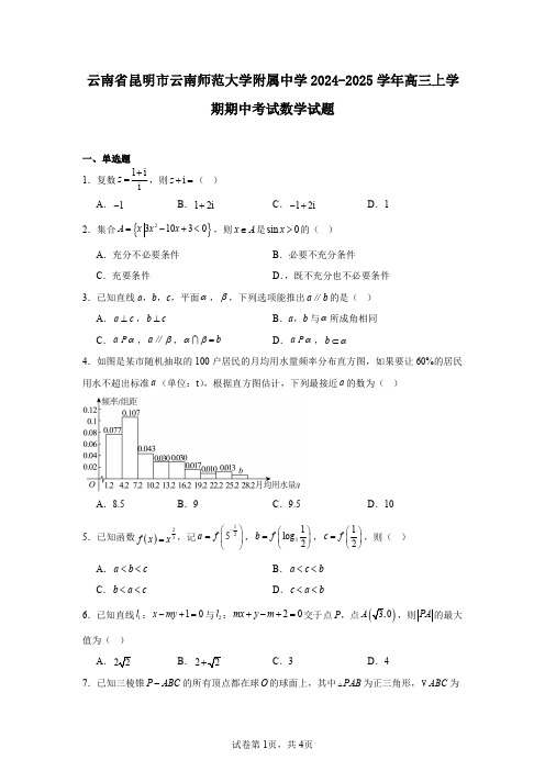 云南省昆明市云南师范大学附属中学2024-2025学年高三上学期期中考试数学试题