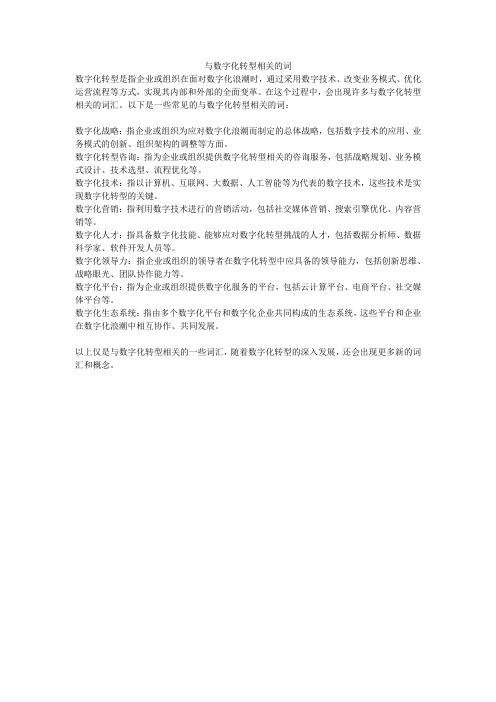 与数字化转型相关的词