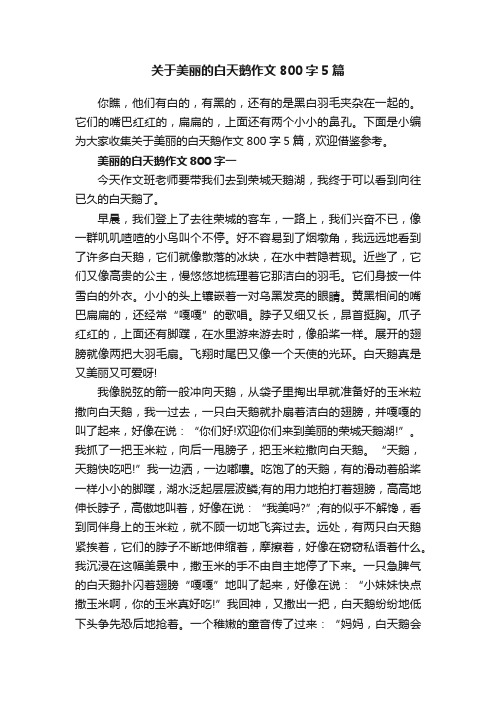 关于美丽的白天鹅作文800字5篇