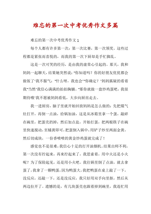 难忘的第一次中考优秀作文多篇