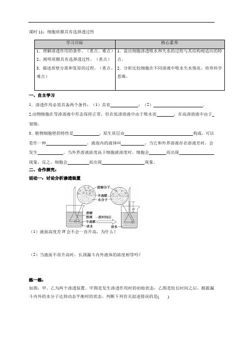 第2章课时11细胞质膜具有选择透过性学案-江苏省盐城市伍佑中学苏教版(2020)高中生物必修1