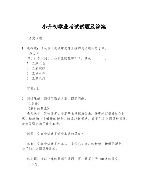 小升初学业考试试题及答案