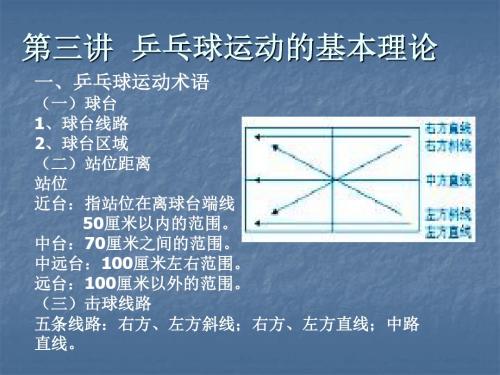 乒乓球运动的理论基础演示文稿