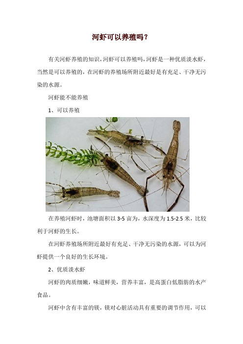 河虾可以养殖吗？