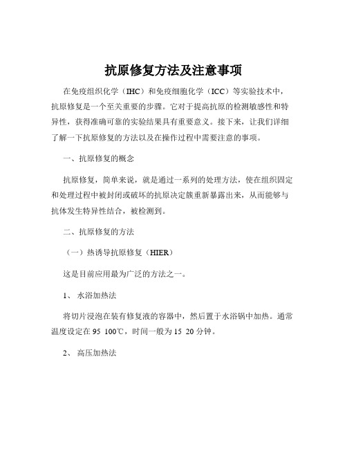 抗原修复方法及注意事项