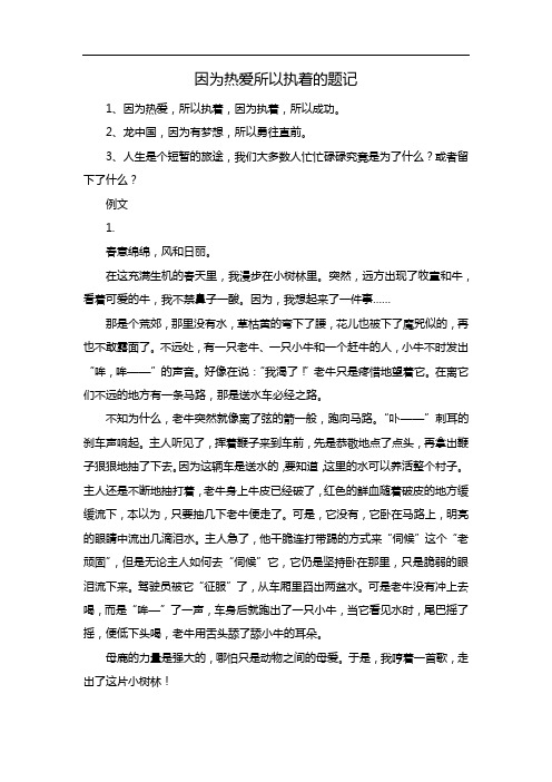 因为热爱所以执着的题记