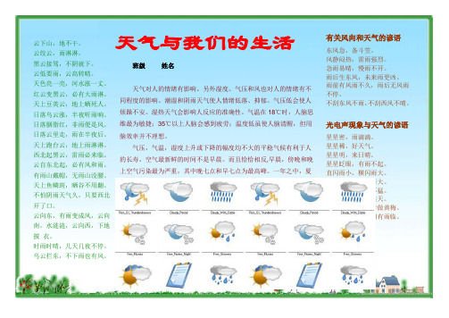 科学手抄报科技电子小报模板科学在我身边手抄报生活中的科普知识探索创新自然天文动物植物