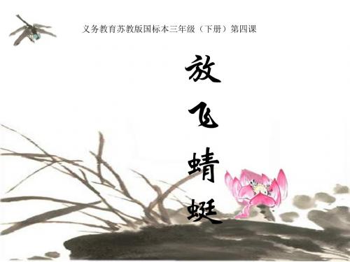 《放飞蜻蜓》 精品课件(共11张)