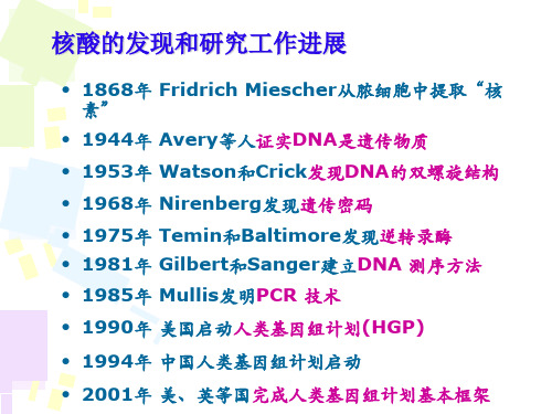 生物化学周爱儒第六版第二章核酸的结构与功能