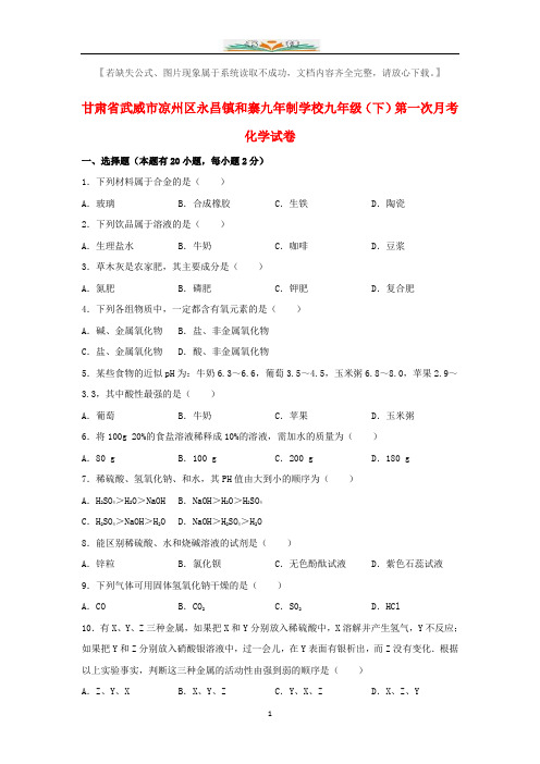 永昌镇和寨九年制学校九年级化学下册第一次月考试题(含解析)新人教版.doc