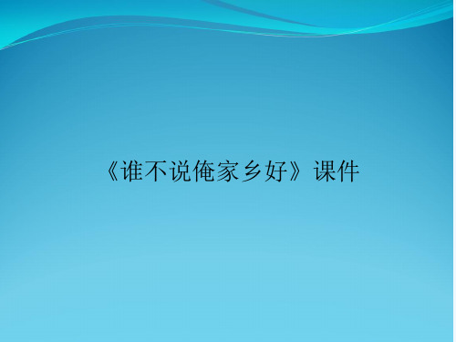 《谁不说俺家乡好》课件