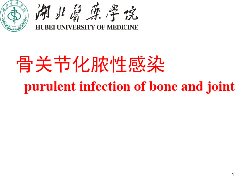骨关节化脓性感染PPT