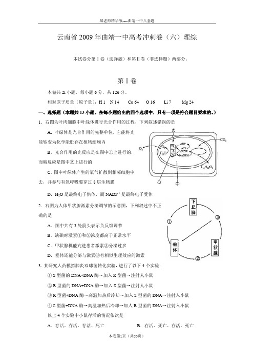 云南省2009年曲靖一中高考冲刺卷(六)(理综)