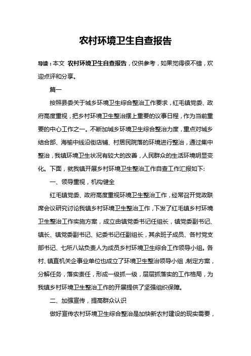 农村环境卫生自查报告