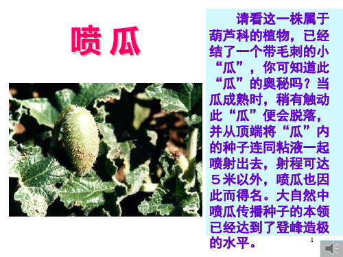 【精品课件学习】六年级下册语文课件 《植物妈妈有办法》课件新课标改编版_36-39