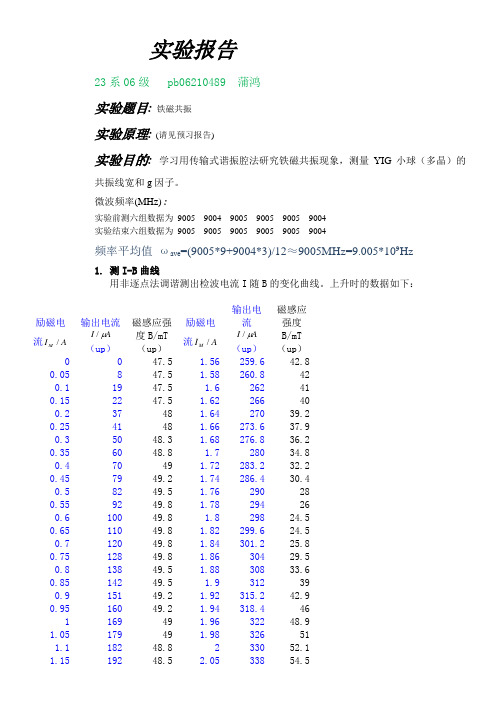 PB06210489_铁磁共振_20086485102