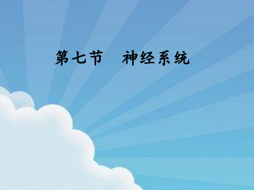 神经系统  幼儿卫生学