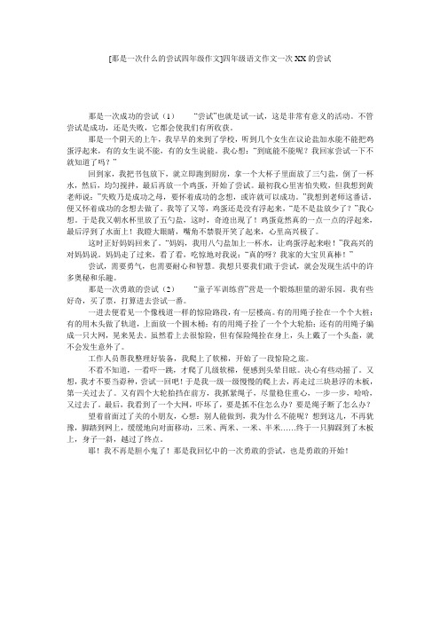 [那是一次什么的尝试四年级作文]四年级语文作文一次XX的尝试