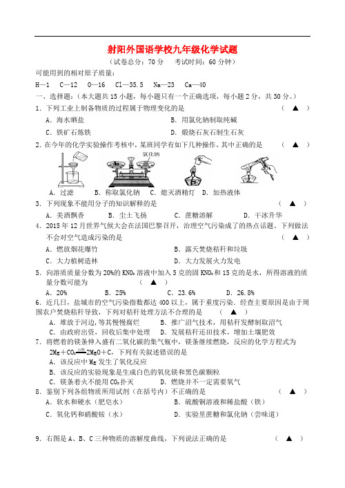 江苏省射阳县外国语九年级化学第二次月考试题(普通班) 新人教版