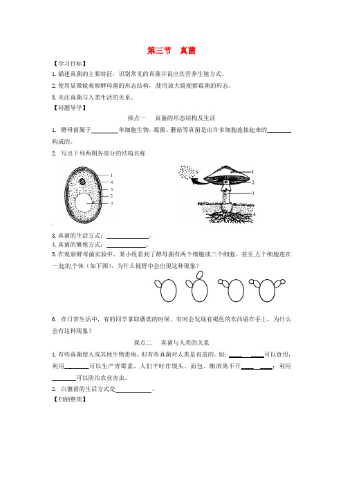 山东省无棣县第一实验学校七年级生物上册 第二单元 第三章 第三节 真菌学案(无答案)(新版)济南版