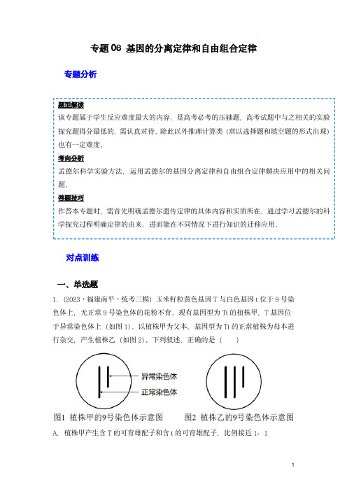 2024年高考生物一轮复习重难点训练(新教材)：专题06 基因的分离定律和自由组合定律(解析版)