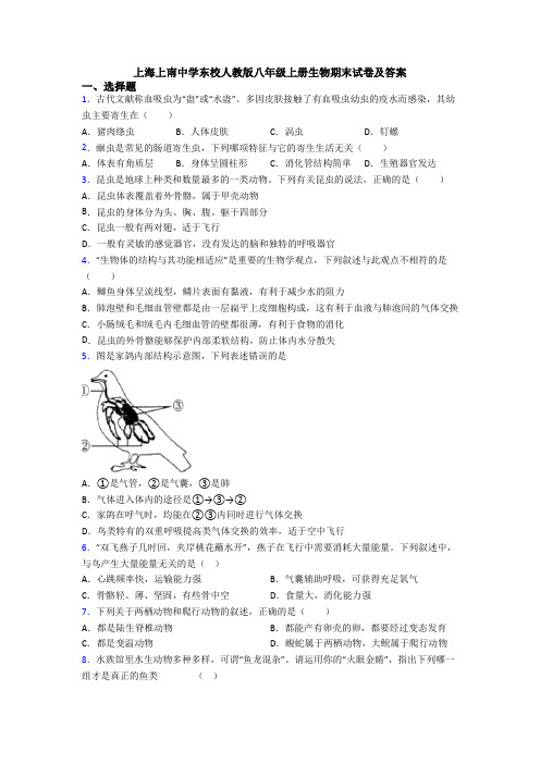 上海上南中学东校人教版八年级上册生物期末试卷及答案