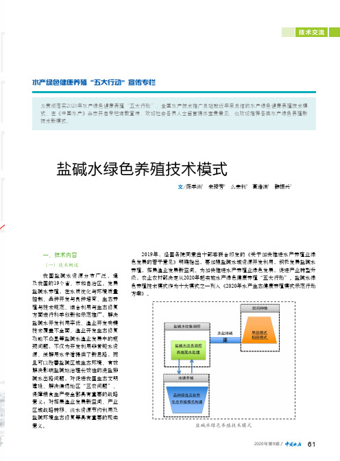 盐碱水绿色养殖技术模式