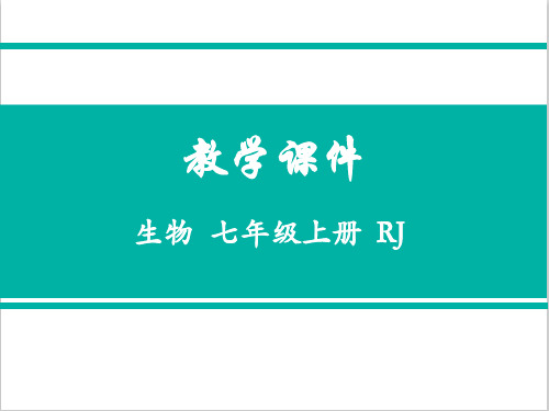 人教版七年级生物上册第二节 种子植物精品优质课件