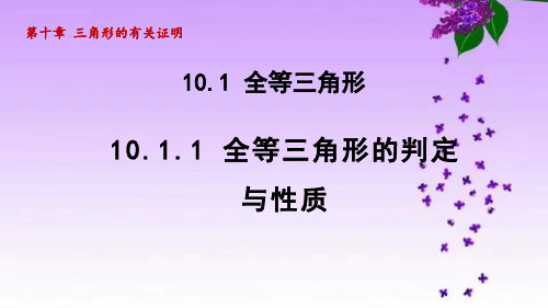 鲁教版七年级数学下册_10.1.1 全等三角形的判定与性质