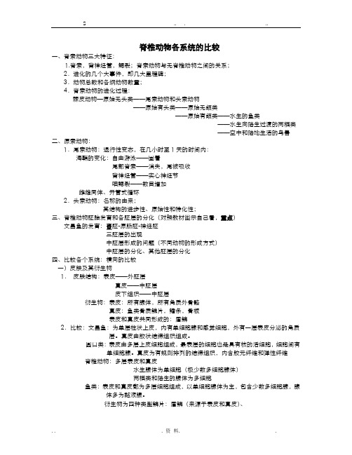 脊椎动物的比较解剖