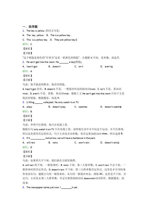 黄冈市初三下英语常用语法知识——名词阶段练习(含答案解析)