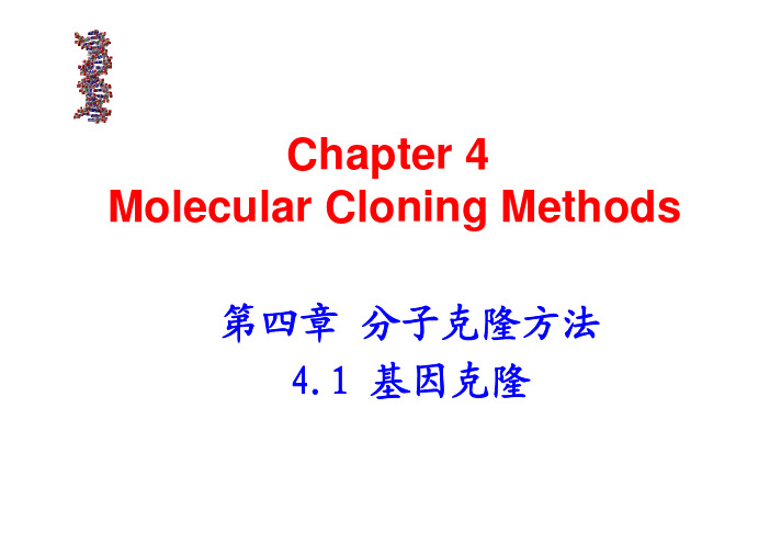 Chapter 4 Molecular Clonning Methods