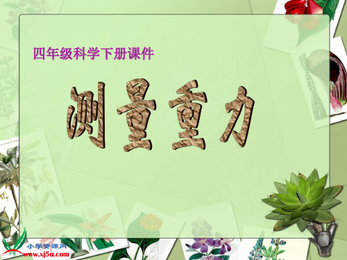 四年级科学下册课件 测量重力