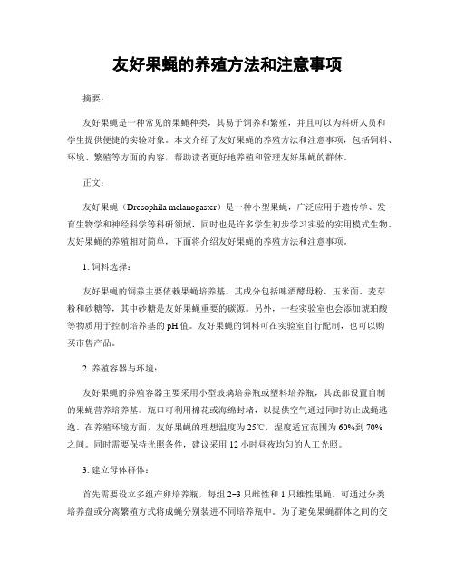 友好果蝇的养殖方法和注意事项