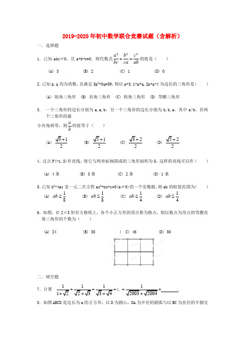 2019-2020年初中数学联合竞赛试题(含解析)