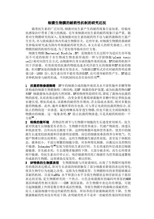 生物膜耐药机制