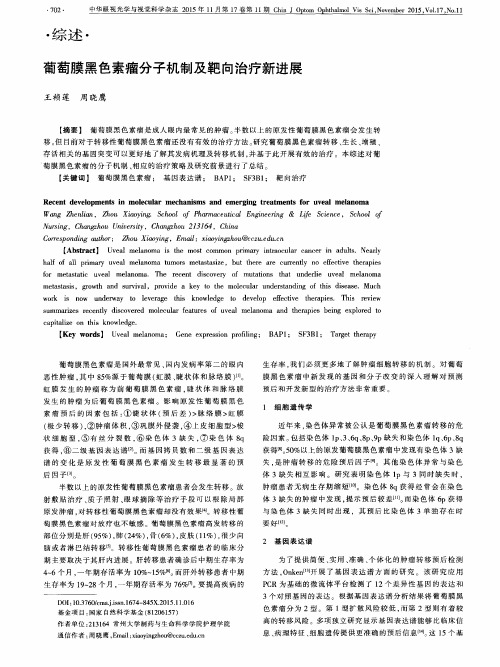 葡萄膜黑色素瘤分子机制及靶向治疗新进展