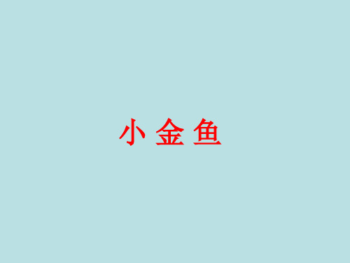 小金鱼