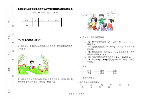 北师大版二年级下学期小学语文水平强化训练期末模拟试卷C卷