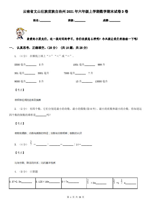 云南省文山壮族苗族自治州2021年六年级上学期数学期末试卷D卷