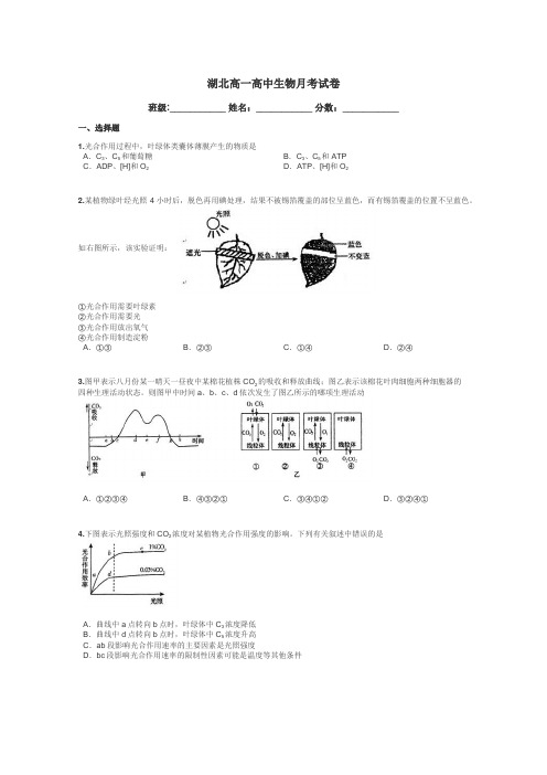 湖北高一高中生物月考试卷带答案解析
