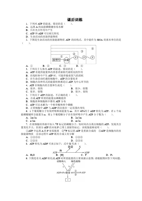 人教课标生物必修1《细胞的能量“通货”——ATP》课后训练1