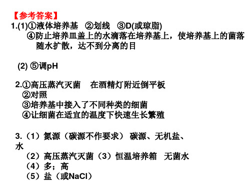 实验2(上课)  分离以尿素为氮源的微生物